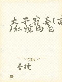 太子宠妾(高肉)红烧肉包