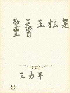 擎天玉柱是什么生肖封面