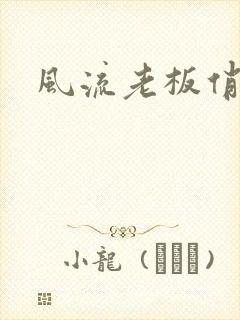 风流老板俏秘书封面