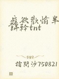 瘾欲欢愉半块小饼干tnt