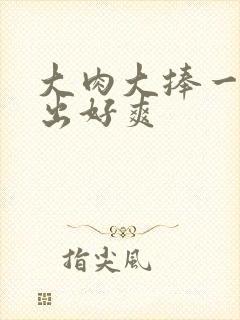 大肉大捧一进一出好爽