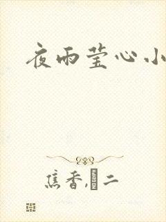 夜雨莹心小说