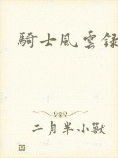 骑士风云录封面