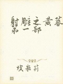 射雕之黄蓉新传第一部封面