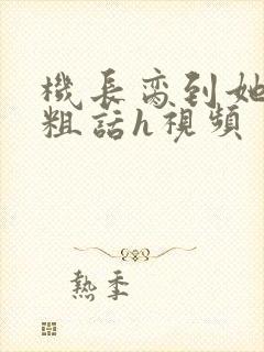 机长脔到她哭h粗话h视频