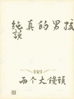 纯真的男孩子小说