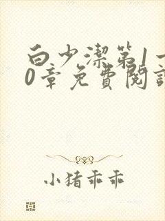 白少洁第1一40章免费阅读封面