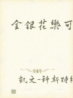 金银花乐可小说封面