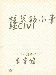 校草的小青梅不经C1V1封面