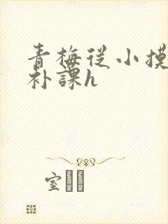 青梅从小摸到大补课h