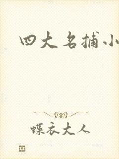 四大名捕小说封面