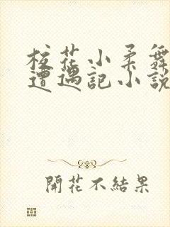 校花小柔舞蹈室遭遇记小说