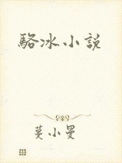 骆冰小说