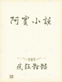 阿宾小说