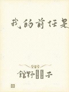 我的前任是极品