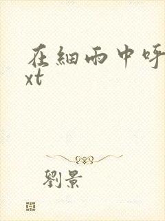 在细雨中呼喊txt