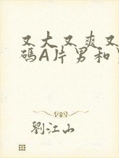 又大又爽又黄无码A片男和男