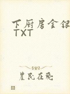 下厨房金银花露 TXT