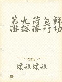 第九荷包鲜辣肉排总排行功能介绍