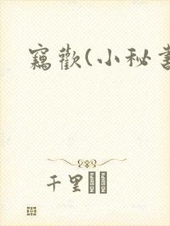 窃欢(小秘书)封面