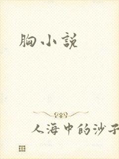 胸小说