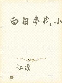 白日梦我小说