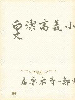 白洁高义小说全文