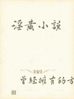 淫黄小说