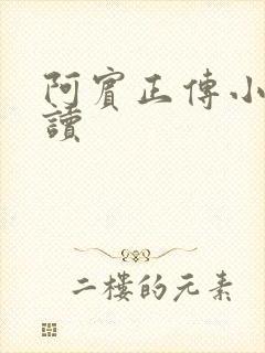 阿宾正传小说在读