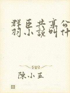 群臣共享公主银羽小说叫什么