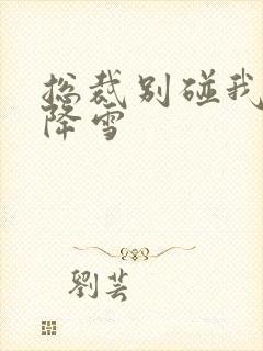 总裁别碰我 韩降雪