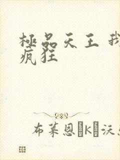 极品天王 我本疯狂封面