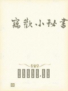 窃欢小秘书封面