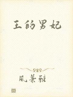 王的男妃封面