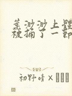 叶渺渺上体育课被捅了一节课封面