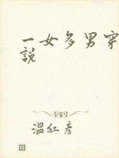 一女多男穿越小说封面