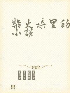 柴火垛里的疯狂小说封面