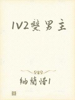 1V2双男主