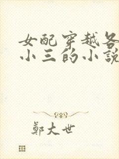 女配穿越各个做小三的小说