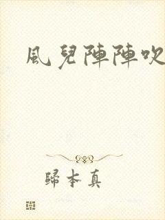 风儿阵阵吹封面