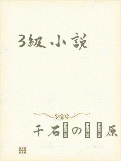 3级小说