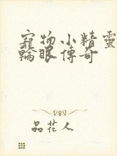 宠物小精灵之写轮眼传奇