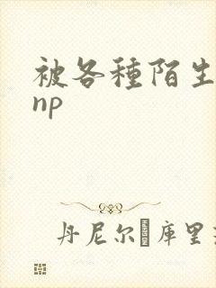 被各种陌生人 np