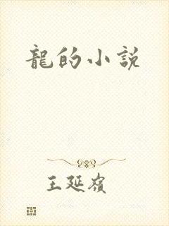 龙的小说