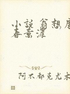 小说 翁想房中春意浓