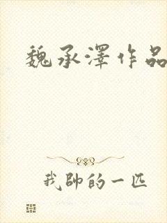 魏承泽作品封面