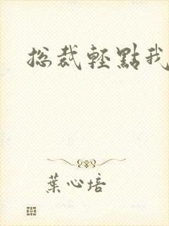 总裁轻点我怕疼