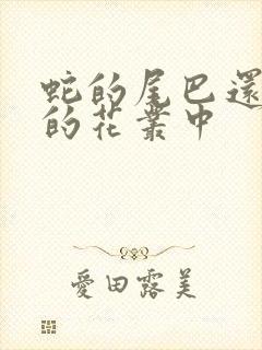 蛇的尾巴还在我的花丛中