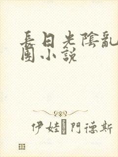 长日光阴乱作一团小说