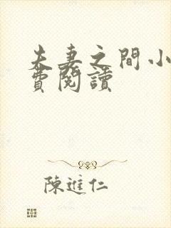 夫妻之间小说免费阅读